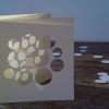 50x75cm paper, timber, sunlight